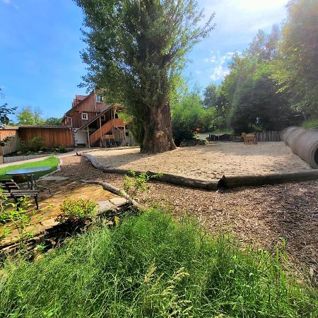 Pferdehof Am Burgsberg, Ferienzimmer, Monteurzimmer Seifhennersdorf Екстериор снимка